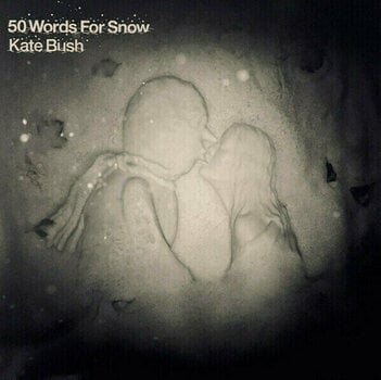 Vinyl Record Kate Bush - 50 Words For Snow (2 LP) - 1