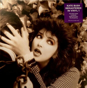 Vinyl Record Kate Bush - Vinyl Box 1 (4 LP) - 1
