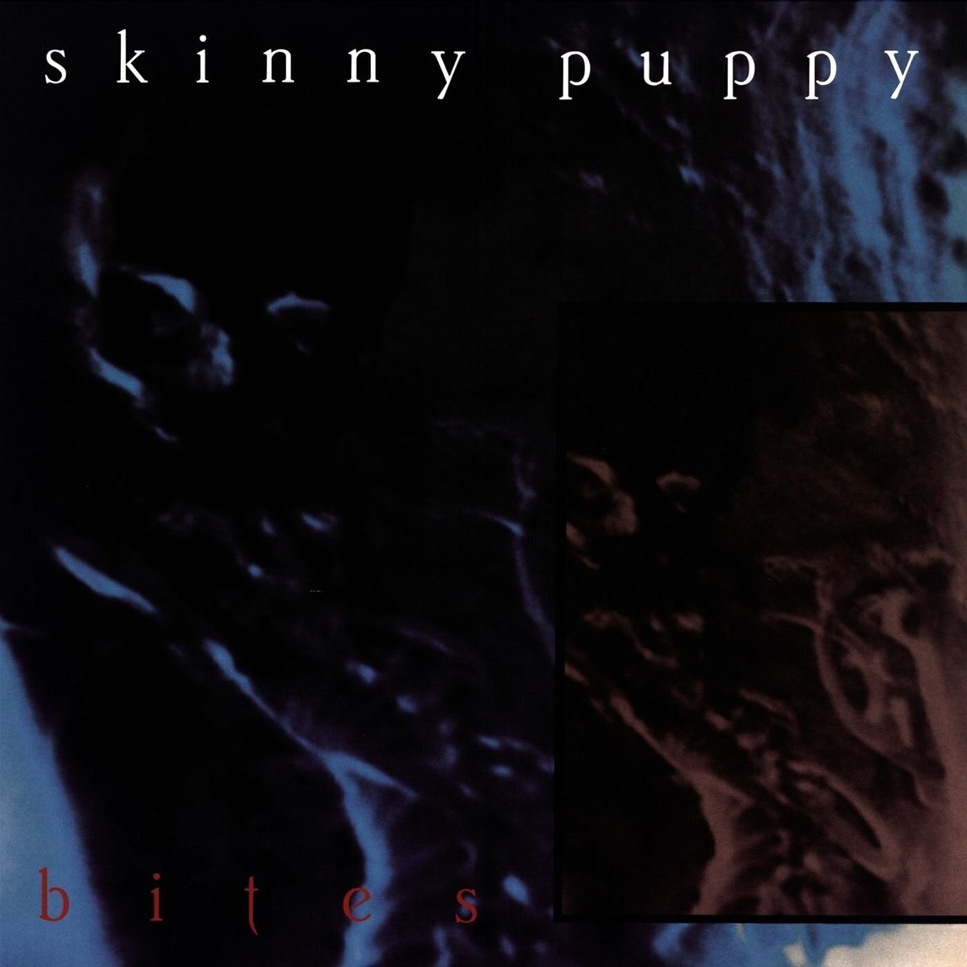 Płyta winylowa Skinny Puppy - Bites (LP)