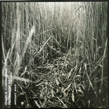 Disque vinyle Charlie Cunningham - Permanent Way (LP) - 1