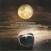 Schallplatte Echo & The Bunnymen - The Stars, The Oceans & The Moon (2 LP)
