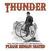 Vinyylilevy Thunder - Please Remain Seated (2 LP)