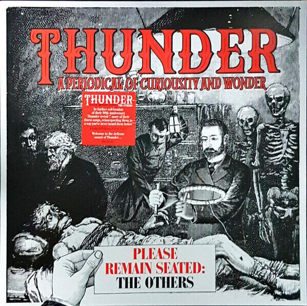 Vinyl Record Thunder - RSD - Please Remain Seated - The Others (LP)