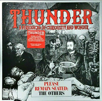 Vinyl Record Thunder - RSD - Please Remain Seated - The Others (LP) - 1