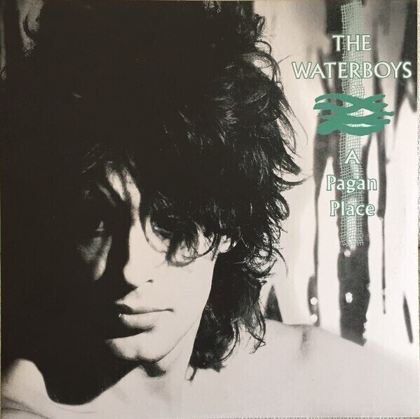 Hanglemez The Waterboys - Pagan Place (LP)
