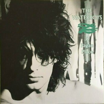 LP The Waterboys - Pagan Place (LP) - 1