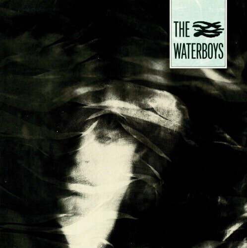 Vinylskiva The Waterboys - The Waterboys (LP)