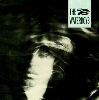 Vinyl Record The Waterboys - The Waterboys (LP) - 1