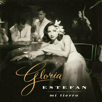 Vinyl Record Gloria Estefan - Mi Tierra (LP) - 1