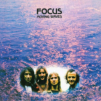 Vinyl Record Focus - Moving Waves (LP) - 1