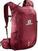 Outdoor Backpack Salomon Trailblazer 20 Red/Ebony Outdoor Backpack