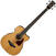 Acoustic Bassguitar Ibanez AVCB9CE-NT Natural High Gloss