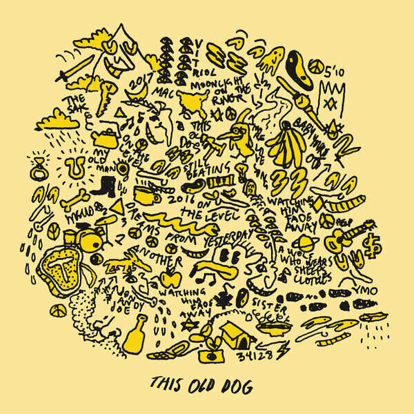 Płyta winylowa Mac DeMarco - This Old Dog (LP)