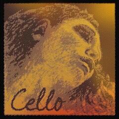 Tšello keeled Pirastro Evah Pirazzi Gold Cello D Steel Chrome Steel