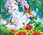 Gaira Malowanie po numerach Kolibry