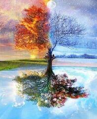 Gaira Az évszakok fája