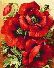Gaira Poppies M1111