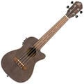 Ortega RUCOAL-CE Coal Black Ukelele de concierto (Dañado)
