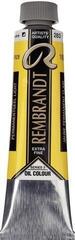 Oil colour Rembrandt 1052832 Oil Paint Permanent Yellow Light 40 ml 1 pc