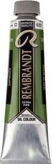 Tempera ad olio Rembrandt 1056232 Pittura a olio Sap Green 40 ml 1 pz
