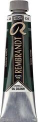 Ölfarbe Rembrandt 1056292 Ölgemälde Green Earth 40 ml 1 stk