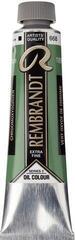 Oil colour Rembrandt 1056682 Oil Paint Chromium Oxide Green 40 ml 1 pc