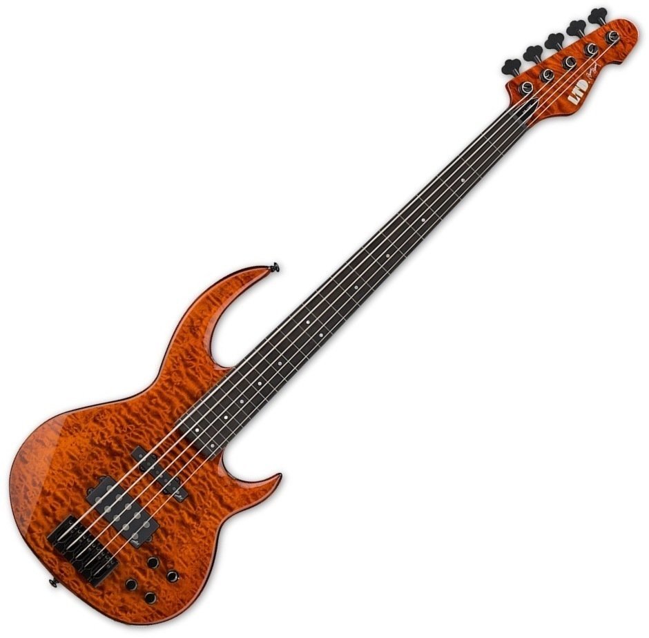 Fretless Bassguitar ESP LTD BB-1005 FL