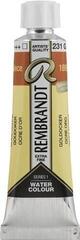 Watercolour Paint Rembrandt Professional Watercolour Paint Gold Ochre 10 ml 1 pc