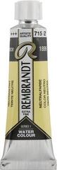Watercolour Paint Rembrandt Professional Watercolour Paint Neutral Tint 10 ml 1 pc
