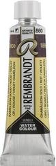 Watercolour Paint Rembrandt Professional Watercolour Paint Chameleon Gold Red Violet 10 ml 1 pc