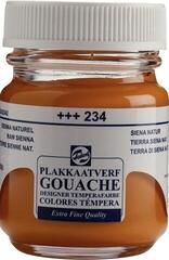 Pittura a guazzo
 Talens Extra Fine Vernice a guazzo Raw Sienna 50 ml 1 pz