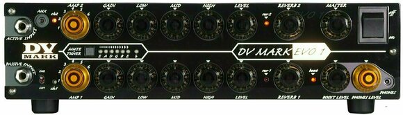 Modeling Guitar Amplifier DV Mark DV EVO 1 - 1
