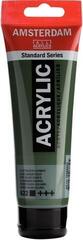 Acrylic Paint Amsterdam Standard Series Acrylic Paint Olive Green Deep 120 ml 1 pc