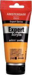 Amsterdam Expert Series Acrylic 75 ml Cadmium Yellow Deep Amsterdam Expert Series Acrylic 75 ml Cadmium Yellow Deep