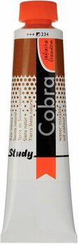 Olejová barva Cobra Study Olejová barva Raw Sienna 40 ml 1 ks - 1