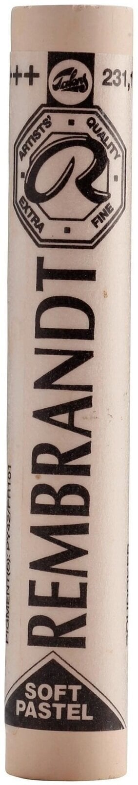 Pastel sec Rembrandt 31992311 Pastel sec Gold Ochre 10 1 pc