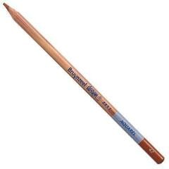 Aquarellstift Bruynzeel Design Aquarel Aquarellstift Sienna 1 Stck