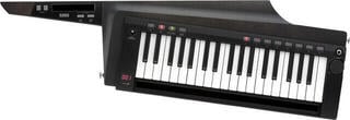 Szintetizátor Korg RK-100S2 Szintetizátor Black