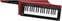Synthesizer Korg RK-100S2 Red