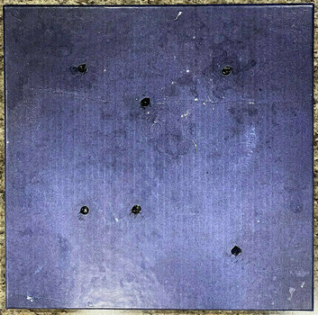 Disco de vinil Trent Reznor & Atticus Ross - Bird Box (4 LP Box Set) (180g) - 1