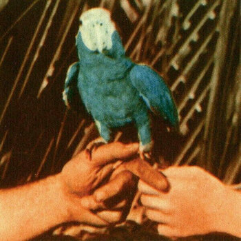 LP Andrew Bird - Are You Serious (LP) - 1