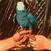 LP Andrew Bird - Are You Serious (LP)