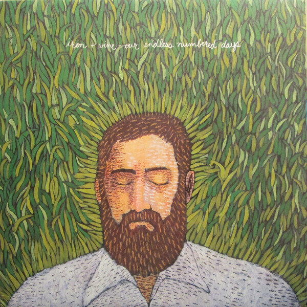 Schallplatte Iron and Wine - Our Endless Numbered Days (LP)