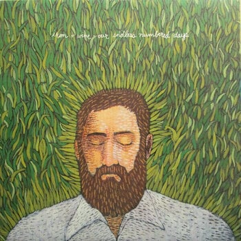 Vinyl Record Iron and Wine - Our Endless Numbered Days (LP) - 1