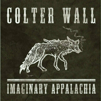 Δίσκος LP Colter Wall - Imaginary Appalachia (LP) - 1