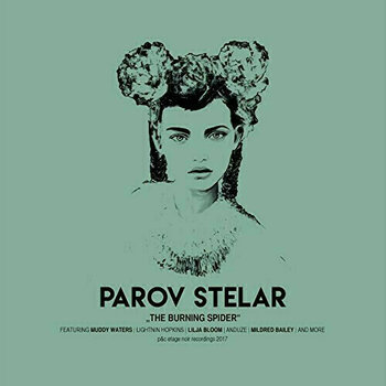 Vinyl Record Parov Stelar - The Burning Spider (2 LP) - 1