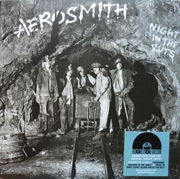 Disco de vinilo Aerosmith - Night In The Ruts (Limited Edition) (180g) (LP)