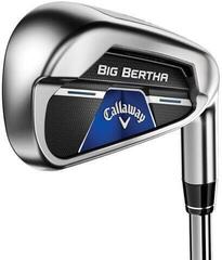 Callaway Big Bertha B21