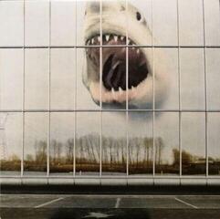 Hanglemez Black Mountain - Wilderness Heart (LP)