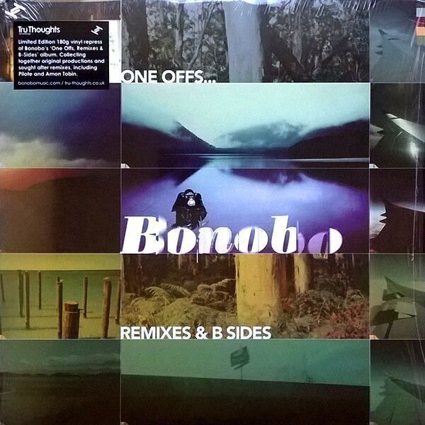Płyta winylowa Bonobo - One Offs...Remixes & B Sides (180g) (Repress)